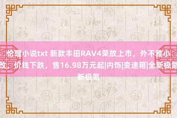 伦理小说txt 新款丰田RAV4荣放上市，外不雅小改，价钱下跌，售16.98万元起|内饰|变速箱|全新极氪