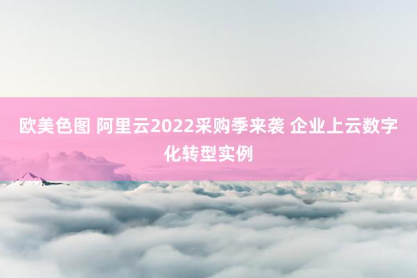 欧美色图 阿里云2022采购季来袭 企业上云数字化转型实例