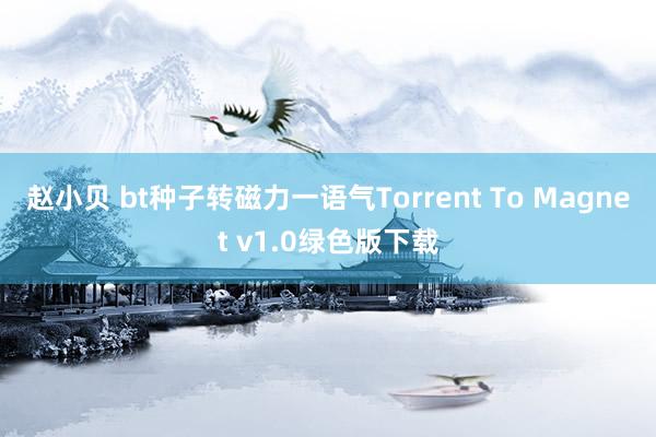 赵小贝 bt种子转磁力一语气Torrent To Magnet v1.0绿色版下载