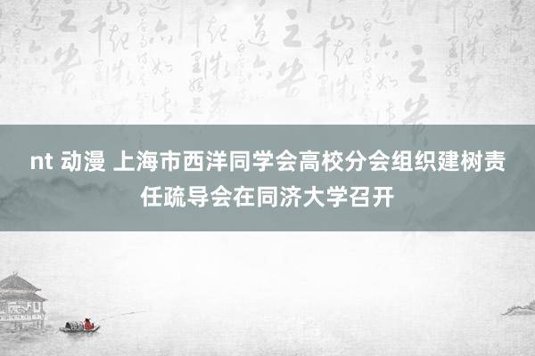 nt 动漫 上海市西洋同学会高校分会组织建树责任疏导会在同济大学召开
