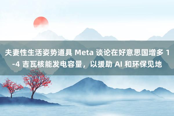 夫妻性生活姿势道具 Meta 谈论在好意思国增多 1-4 吉瓦核能发电容量，以援助 AI 和环保见地