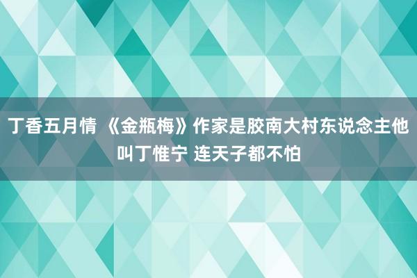 丁香五月情 《金瓶梅》作家是胶南大村东说念主他叫丁惟宁 连天子都不怕