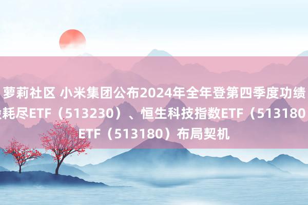 萝莉社区 小米集团公布2024年全年登第四季度功绩，姿色港股耗尽ETF（513230）、恒生科技指数ETF（513180）布局契机