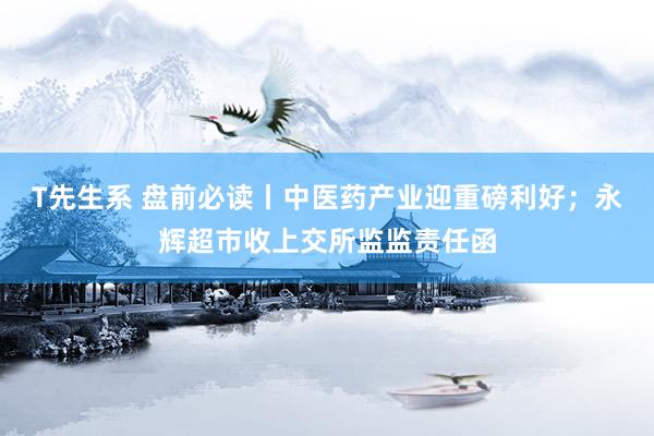 T先生系 盘前必读丨中医药产业迎重磅利好；永辉超市收上交所监监责任函