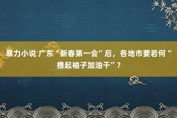 暴力小说 广东“新春第一会”后，各地市要若何“撸起袖子加油干”？