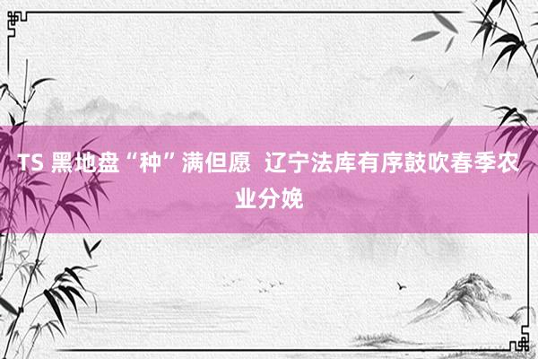 TS 黑地盘“种”满但愿  辽宁法库有序鼓吹春季农业分娩