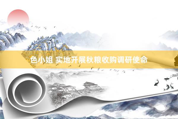 色小姐 实地开展秋粮收购调研使命