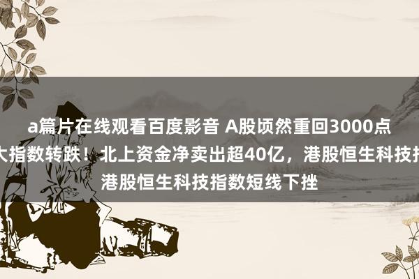 a篇片在线观看百度影音 A股顷然重回3000点后跳水，三大指数转跌！北上资金净卖出超40亿，港股恒生科技指数短线下挫