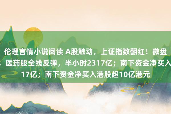 伦理言情小说阅读 A股触动，上证指数翻红！微盘指数拉升1.75%，医药股全线反弹，半小时2317亿；南下资金净买入港股超10亿港元