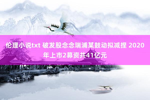 伦理小说txt 破发股念念瑞浦某鼓动拟减捏 2020年上市2募资共41亿元