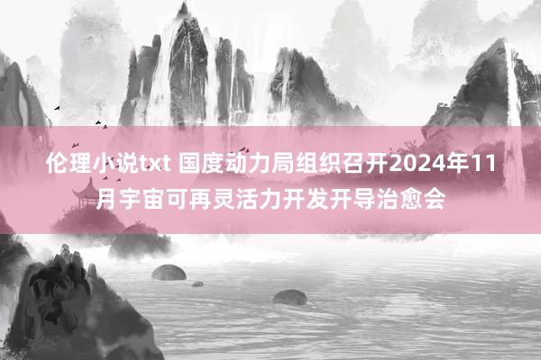 伦理小说txt 国度动力局组织召开2024年11月宇宙可再灵活力开发开导治愈会