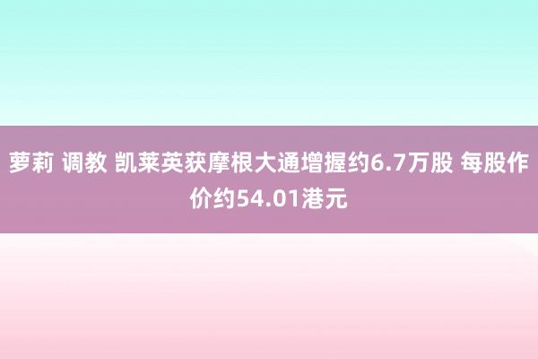 萝莉 调教 凯莱英获摩根大通增握约6.7万股 每股作价约54.01港元